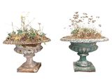 deux vases contenant des plantes, sur fond blanc