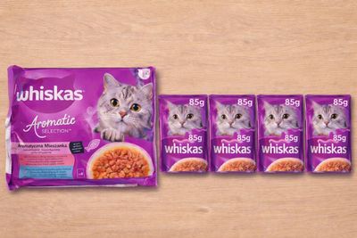 four packs of whiska ' s cat food sitting on a table