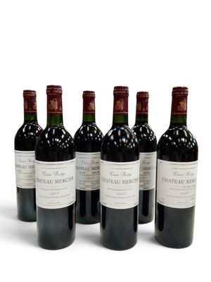 six bouteilles de vin sont alignées sur une surface blanche