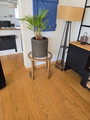 une plante en pot posée sur une petite table dans un coin de la pièce