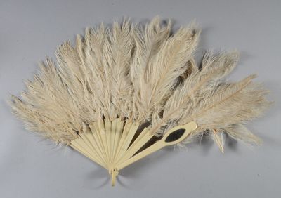 un éventail orné de quelques plumes