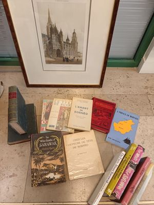 Ensemble de livres dont littérature Anglaise sur Bornéo et N…