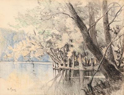 une image représentant un dessin d'une rivière avec des arbres et de l'eau