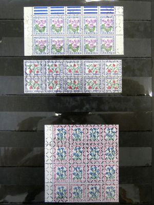 a picture of a display case with three different designs on it