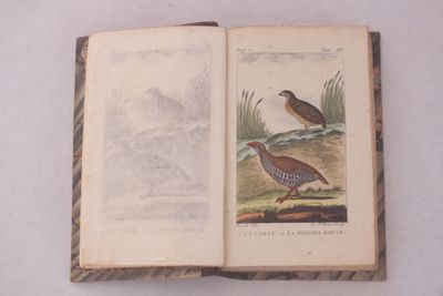 deux oiseaux perchés sur un livre