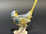 un petit oiseau jaune et bleu perché sur une feuille de papier