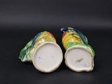 pair of colorful ceramic salt and pepper shakers on a black background