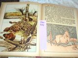 a picture of an open book with pictures of animals on it