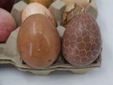 a carton of eggs with different types of eggs in it