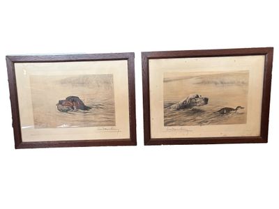 two framed pictures of a bear and a duck in the water