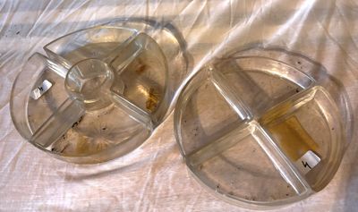 2 Plateaux à crudités - Photo 1