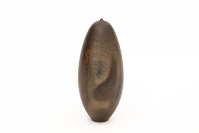 une image représentant un vase posé sur une surface blanche