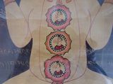 a picture of a man with five chakras on his back