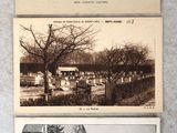 trois vieilles photos en noir et blanc représentant des bâtiments et des arbres