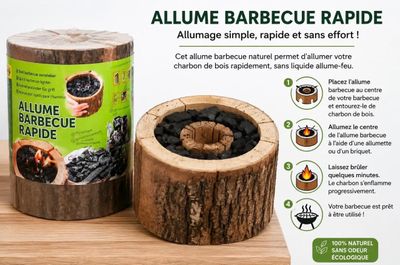 une photo d'un barbecue fabriqué à partir d'une souche d'arbre