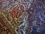 a cat that is sitting on a rug on the floor