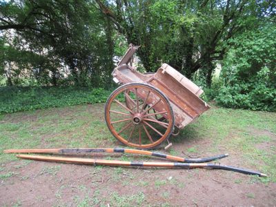 une voiture tirée par des chevaux, assise dans l'herbe