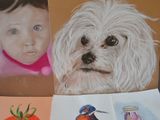 many pictures of a dog and a little girl on the table