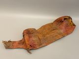an image of a dead animal is laying on a white surface