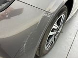 a close up of a car with a dog on the side of it