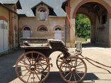 une calèche garée devant un immeuble