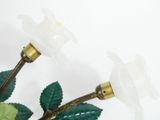 two white flowers with green leaves in a vase