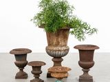 a plant in a pot next to three vases on the floor