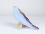 a blue bird that is sitting on top of a white table