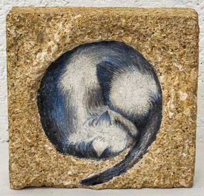 peinture représentant un chat dans une boîte sur fond blanc