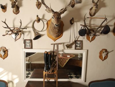 a picture of a room with a lot of deer heads on the wall