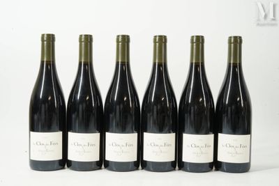 six bouteilles de vin sont alignées sur une surface blanche