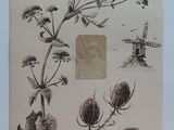 une photo d'une carte sur laquelle figure l'image d'un moulin à vent