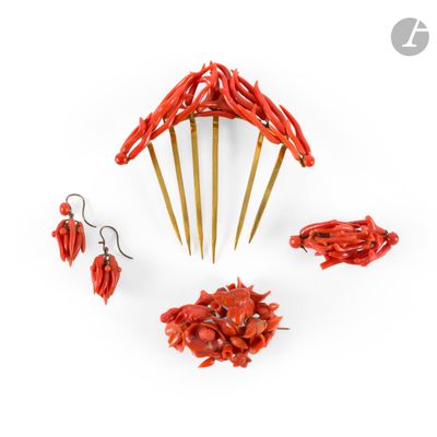 plusieurs morceaux de piment rouge sont disposés en cercle sur une surface blanche