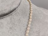 a white pearl necklace on a mannequin mannequin mannequin mannequin mannequin mannequin mannequin mannequin manne