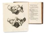 an open book with a drawing of a human skull and a diagram of a human skull