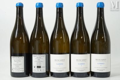 six bouteilles de vin sont alignées sur une surface blanche