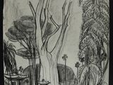 dessin représentant une bouche d'incendie au milieu d'une forêt