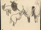 a drawing of a sheep and a goat on a piece of paper