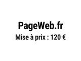 Photo 1/1 du lot