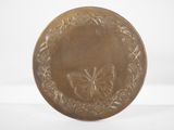 an image of a gold medal with a butterfly on it