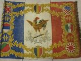 flag of the french empire on the floor of a kitchen