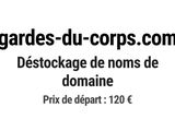 Photo 1/1 du lot