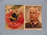 une vieille photo représentant un homme en uniforme et une abeille posée sur une fleur