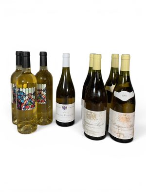 plusieurs bouteilles de vin posées les unes à côté des autres sur une surface blanche
