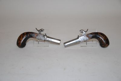 pair of silver and tortoise mounted pistols on lucine bases
