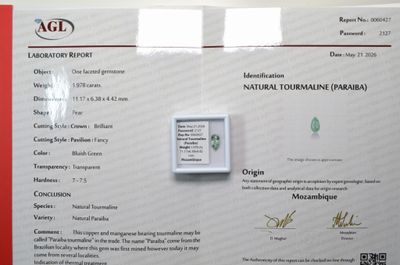 une photo d'un certificat sur laquelle figure la photo d'une personne