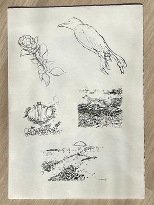 sketches of birds and flowers on a piece of paper on a table