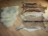 several pieces of fur are laid out on a wooden floor