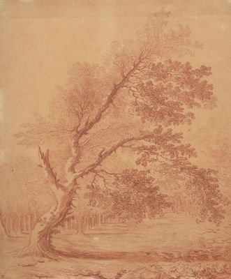 an old drawing of a tree in a field next to a body of water