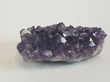 un améthorate violet posé sur un rocher, sur fond blanc